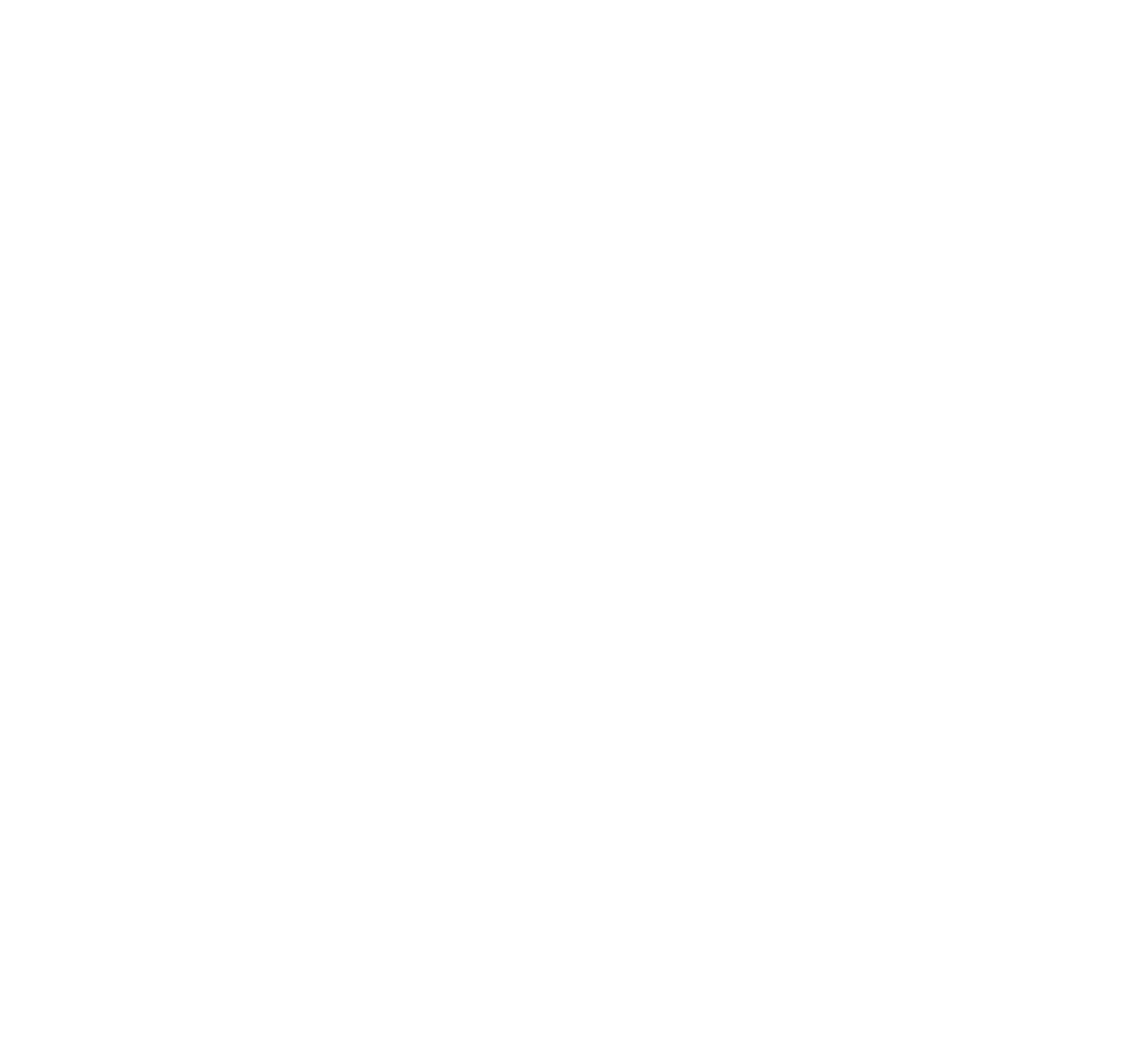 P&R 110 Year Logo - White